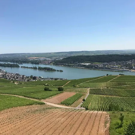 Lägenhet Ruedesheimer Wohlfuehloase Rüdesheim am Rhein