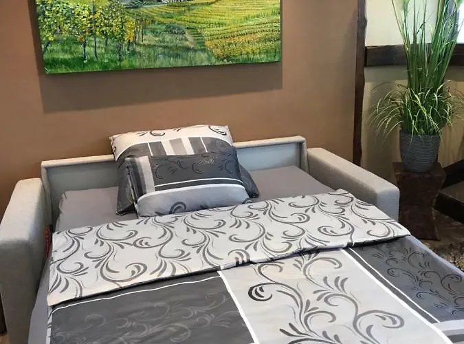 Ruedesheimer Wohlfuehloase Appartement Rüdesheim am Rhein