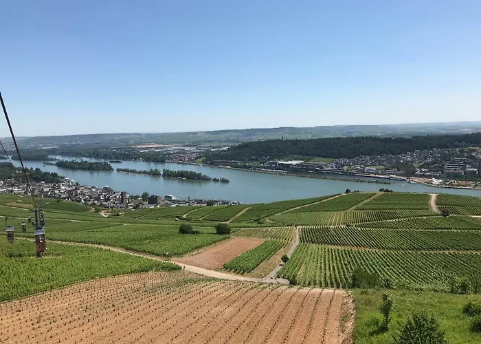 Lägenhet Ruedesheimer Wohlfuehloase Rüdesheim am Rhein