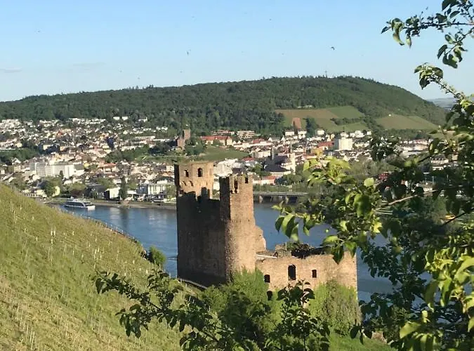 Ruedesheimer Wohlfuehloase Appartement